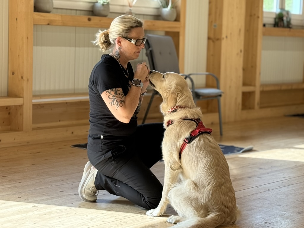 Indoor-Hundetraining in der Doggy Deluxe Hundeschule in Küssnacht