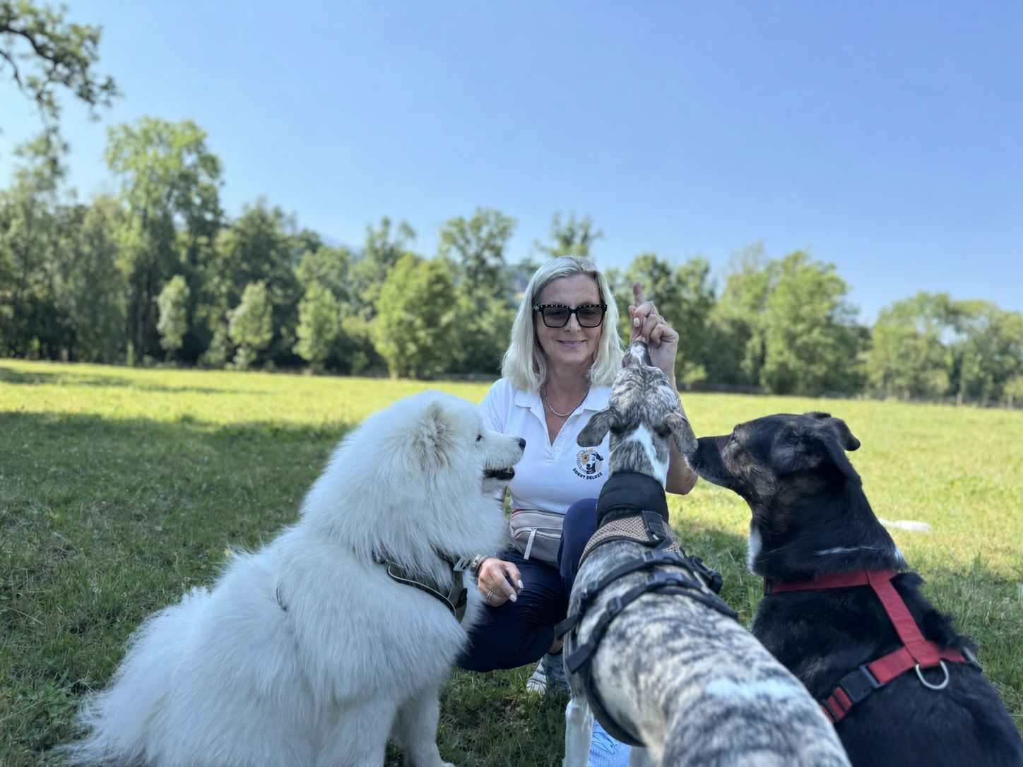 Susanne Olm im weissen Doggy-Deluxe-Poloshirt beim Training mit mehreren Hunden